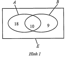 Hình minh họa câu hỏi